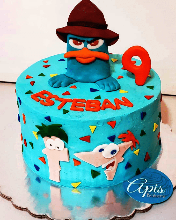 Handsome Phineas and Ferb Cake