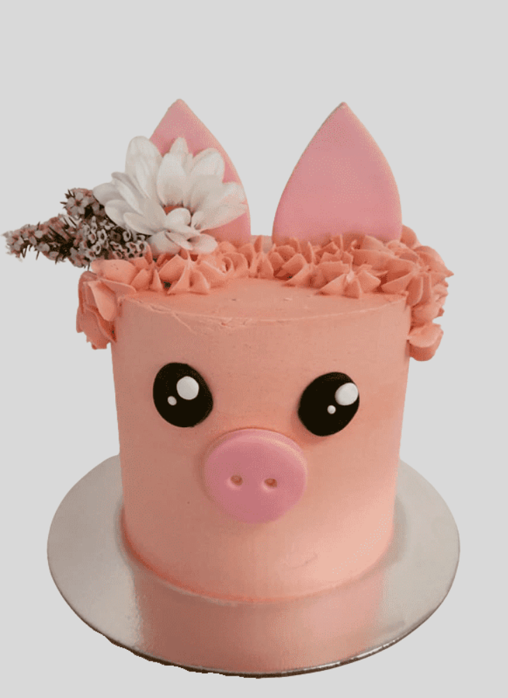 Lovely Pig Cake Design