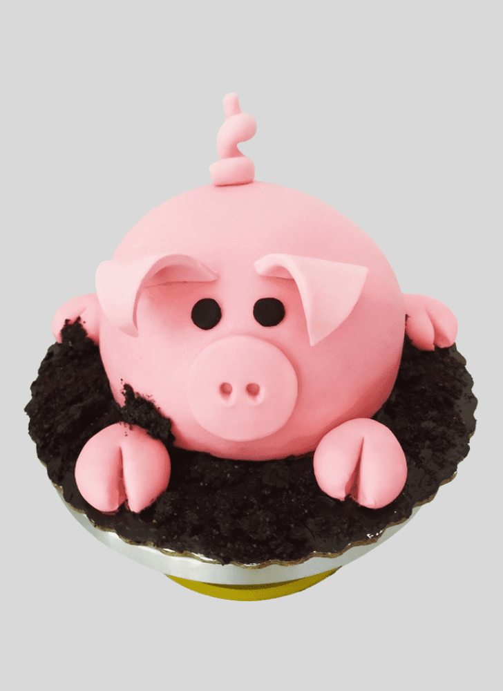 Magnetic Pig Cake
