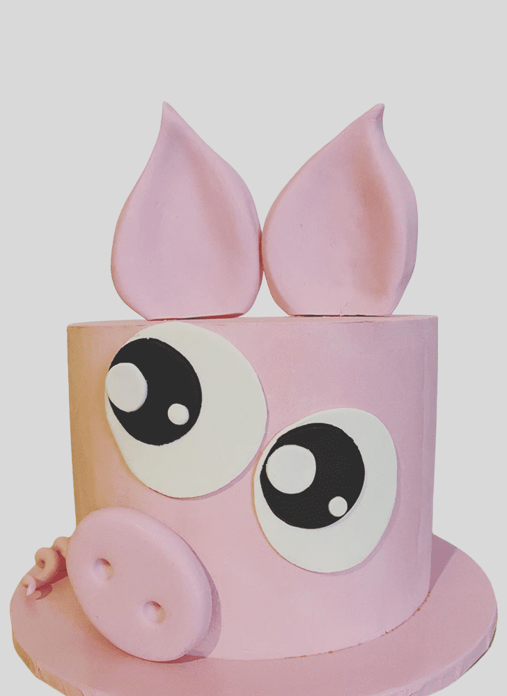 Magnificent Pig Cake