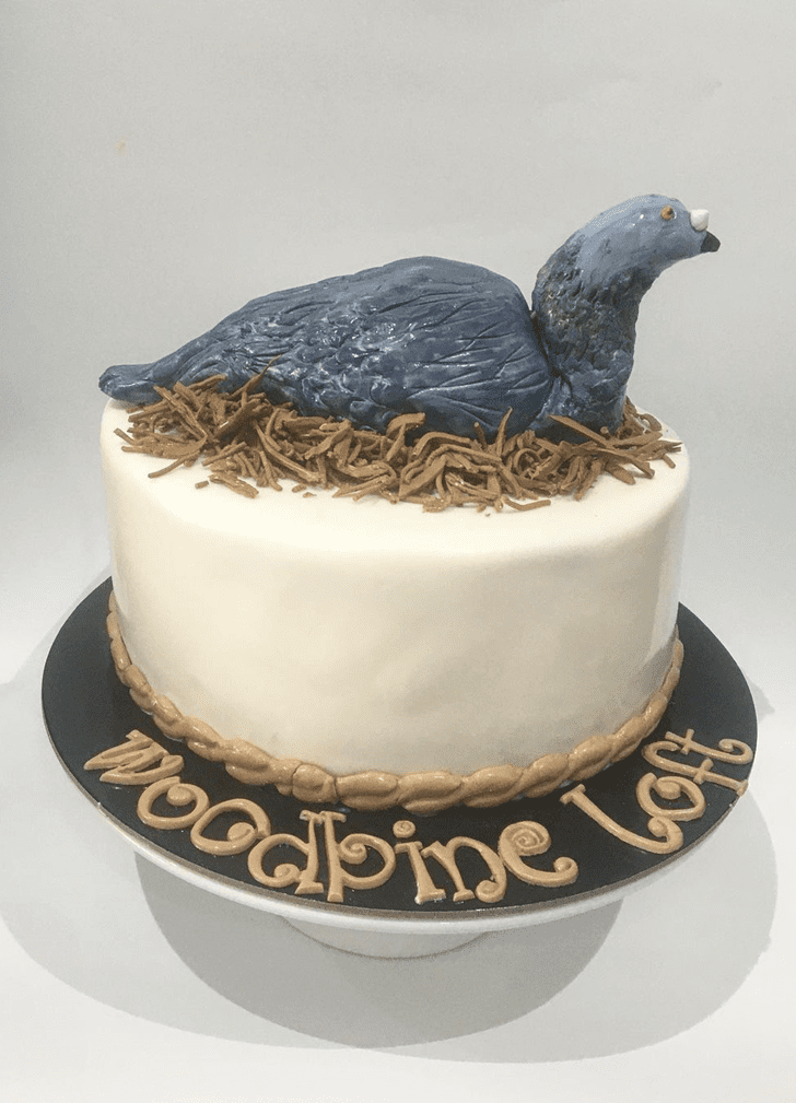 Admirable Pigeon Cake Design