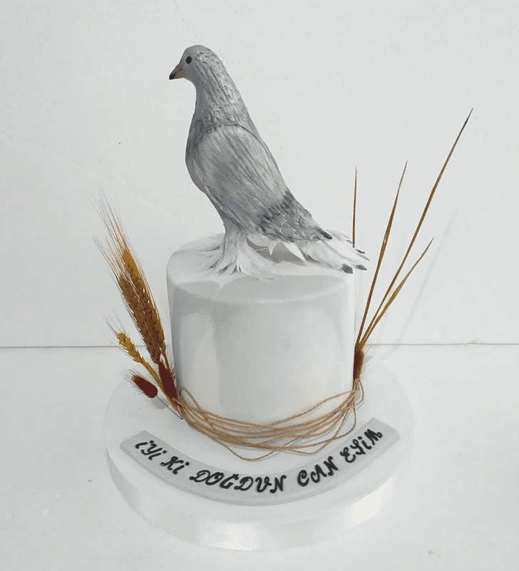 Appealing Pigeon Cake