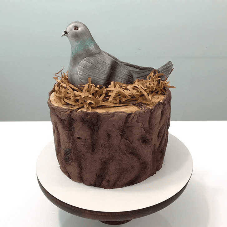 Excellent Pigeon Cake