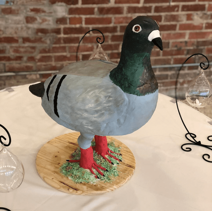 Inviting Pigeon Cake