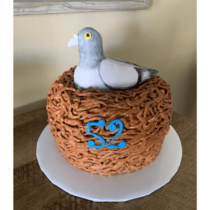 Magnetic Pigeon Cake