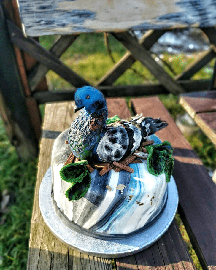 Nice Pigeon Cake
