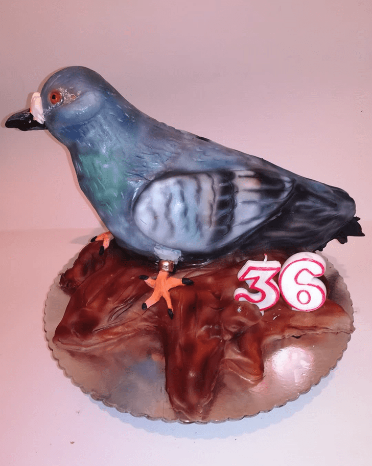 Wonderful Pigeon Cake Design