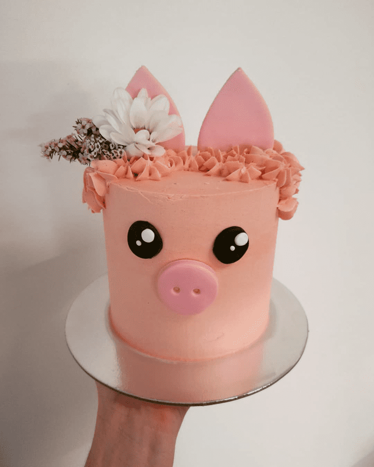 Admirable Piglet Cake Design