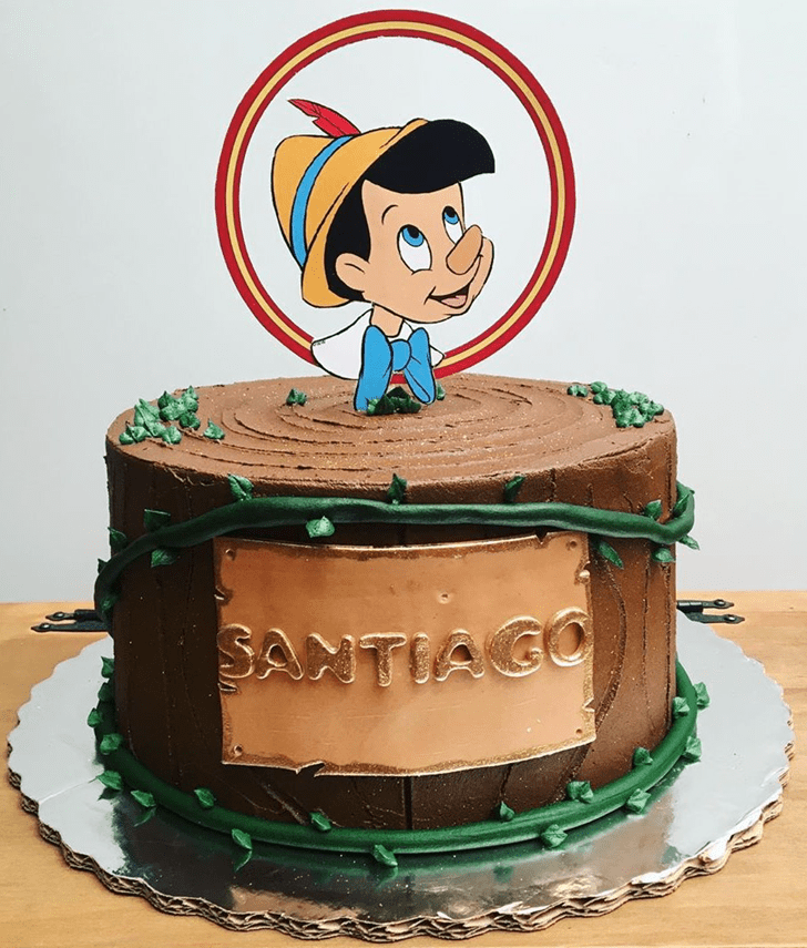 Nice  Pinocchio Cake
