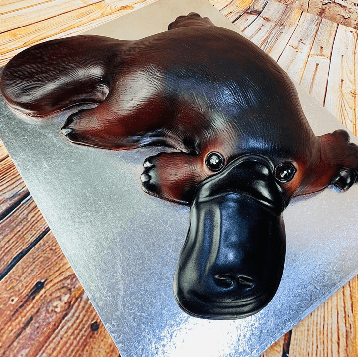Charming Platypus Cake