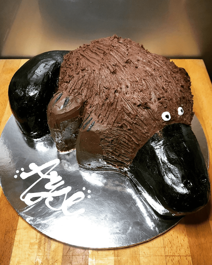 Comely Platypus Cake