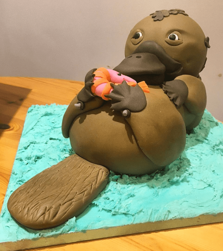 Dazzling Platypus Cake