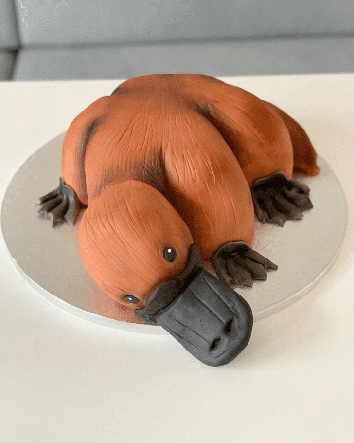 Delightful Platypus Cake