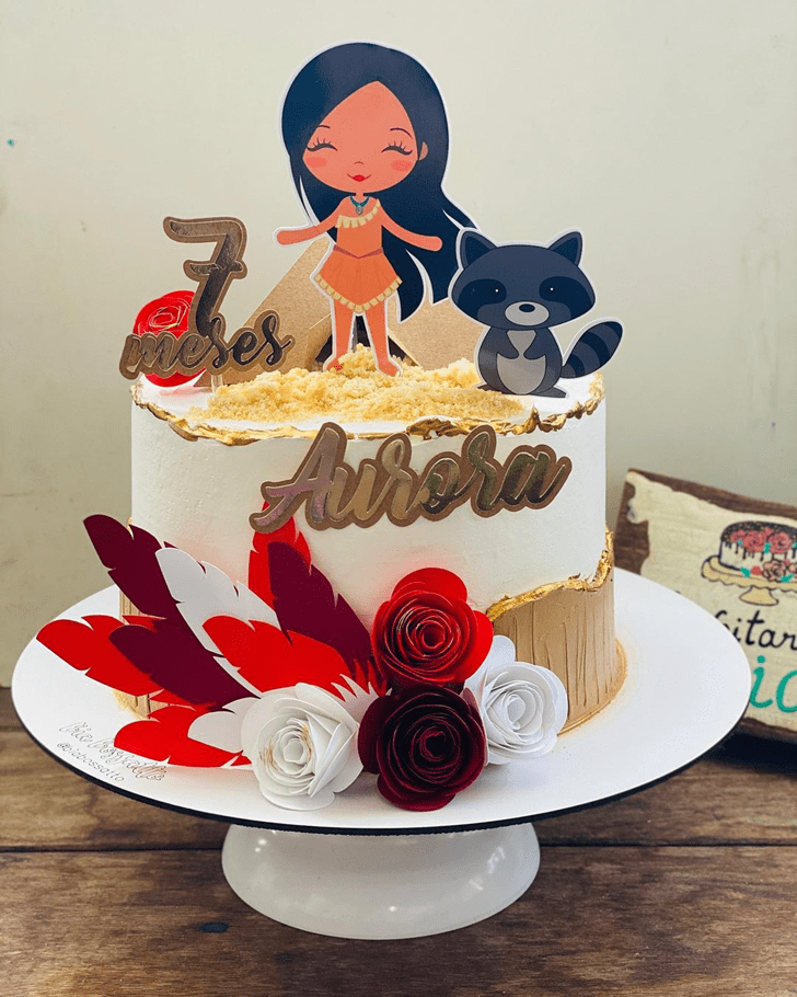 Appealing Pocahontas Cake