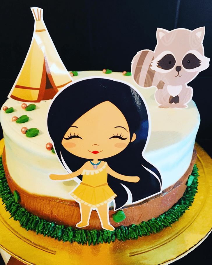 Charming Pocahontas Cake
