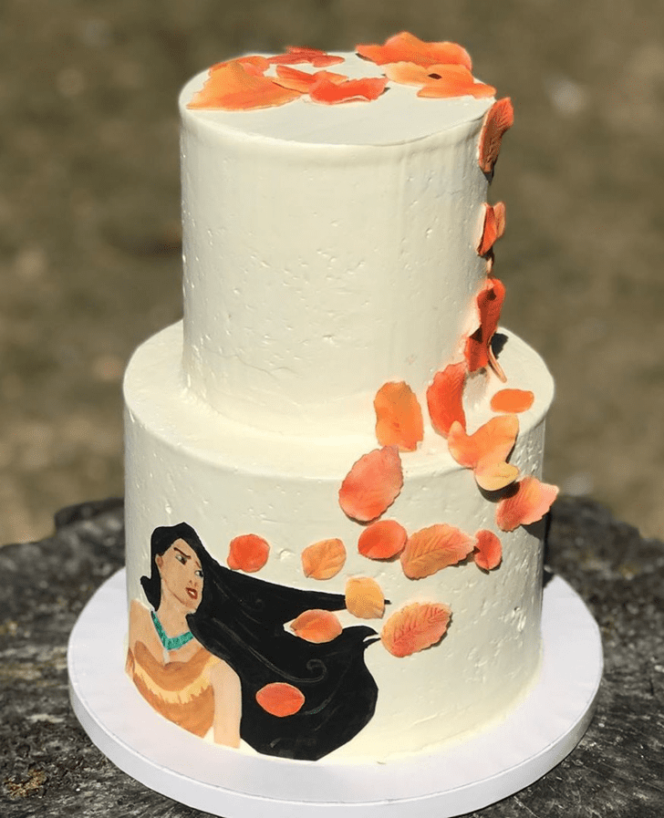 Classy Pocahontas Cake