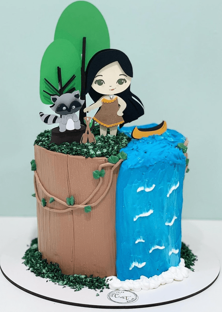 Dazzling Pocahontas Cake