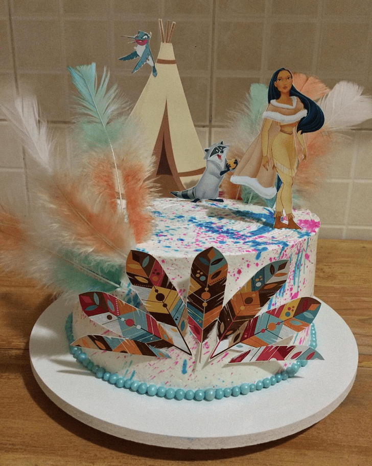 Elegant Pocahontas Cake
