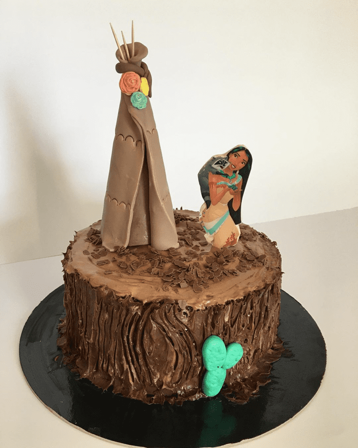 Exquisite Pocahontas Cake