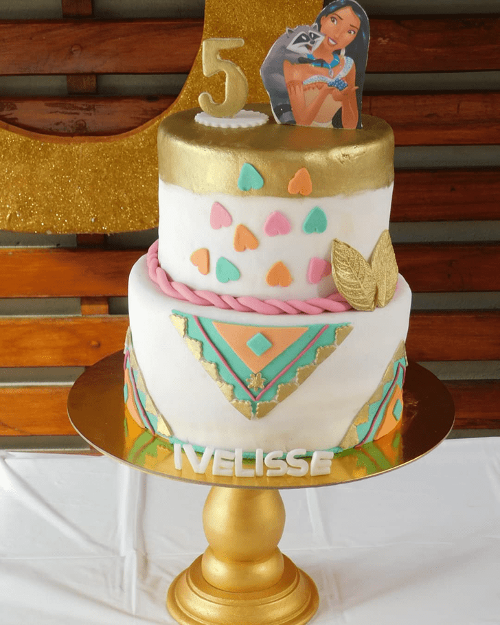 Gorgeous Pocahontas Cake