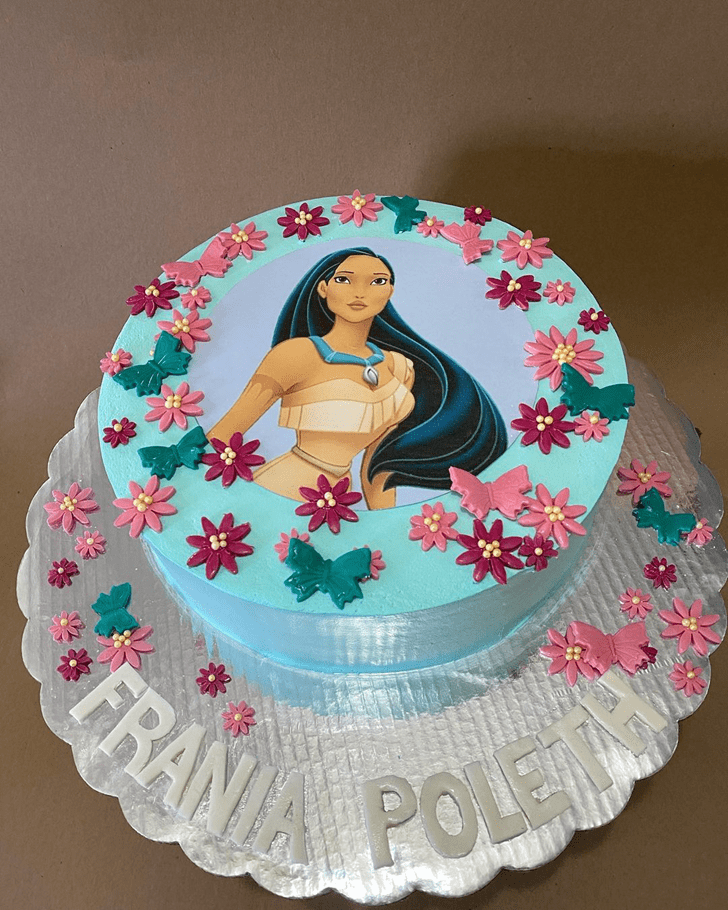 Magnetic Pocahontas Cake
