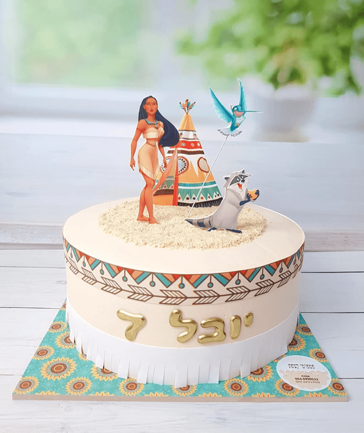 Pleasing Pocahontas Cake