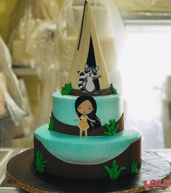Pretty Pocahontas Cake
