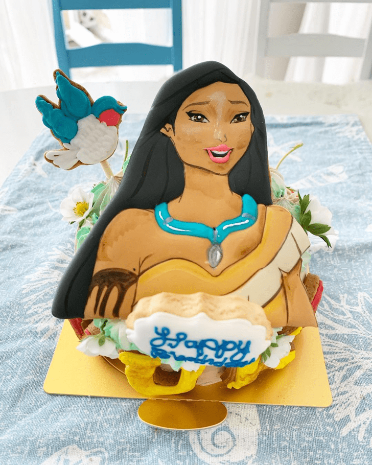 Wonderful Pocahontas Cake Design