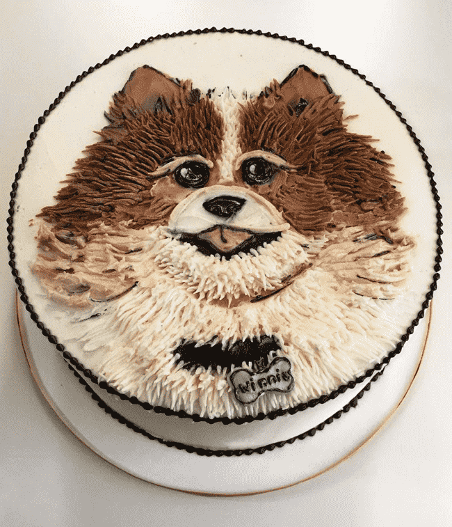 Adorable Pomeranian Cake