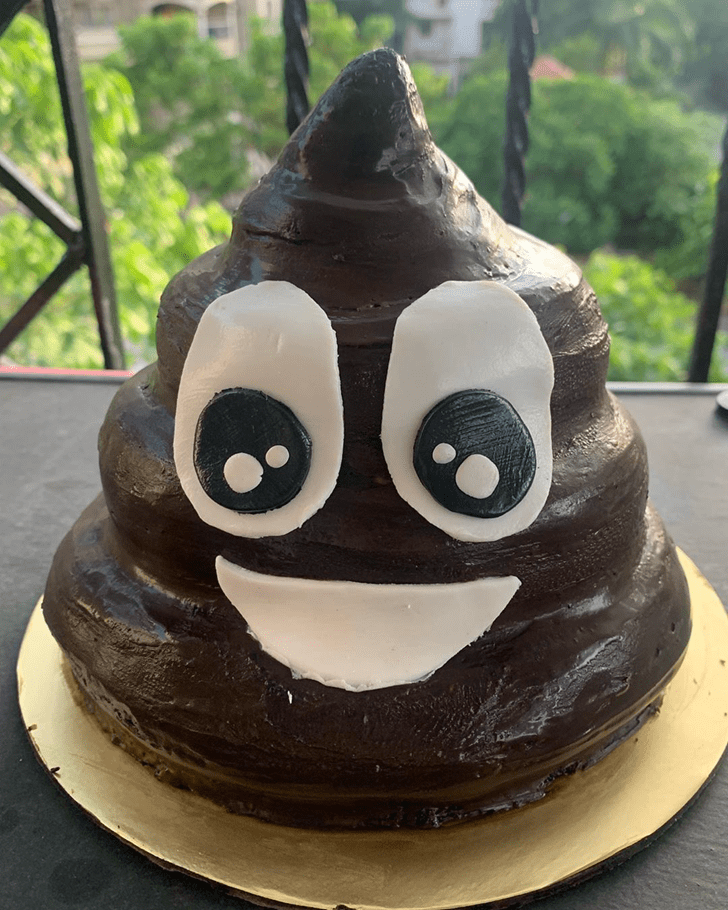 Admirable Poop Cake Design