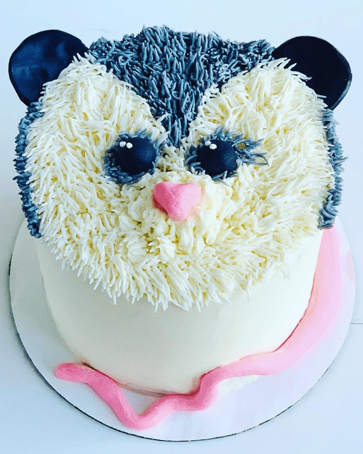Admirable Possum Cake Design