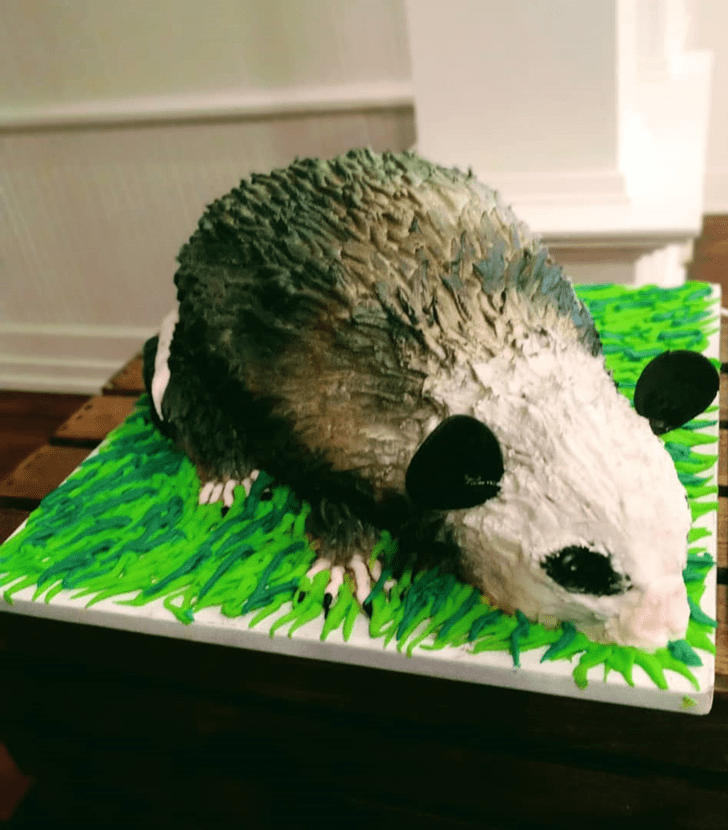 Alluring Possum Cake