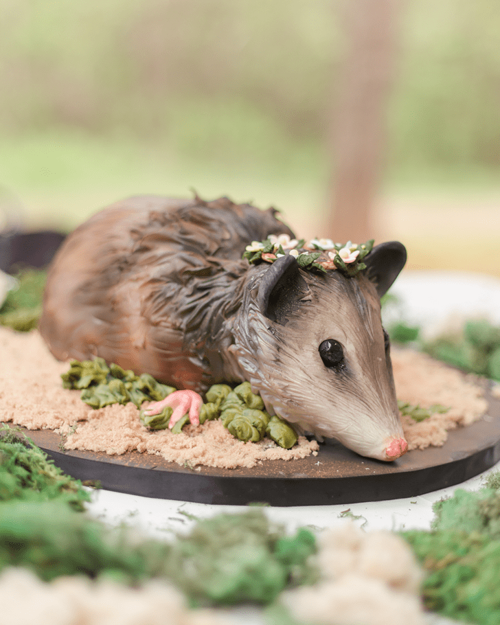 Captivating Possum Cake
