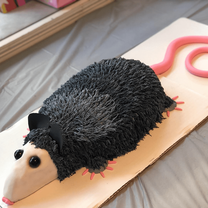Comely Possum Cake