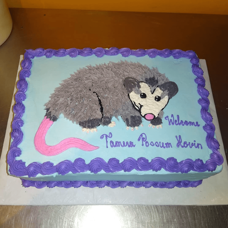 Cute Possum Cake