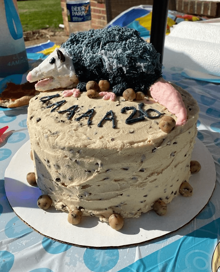 Excellent Possum Cake