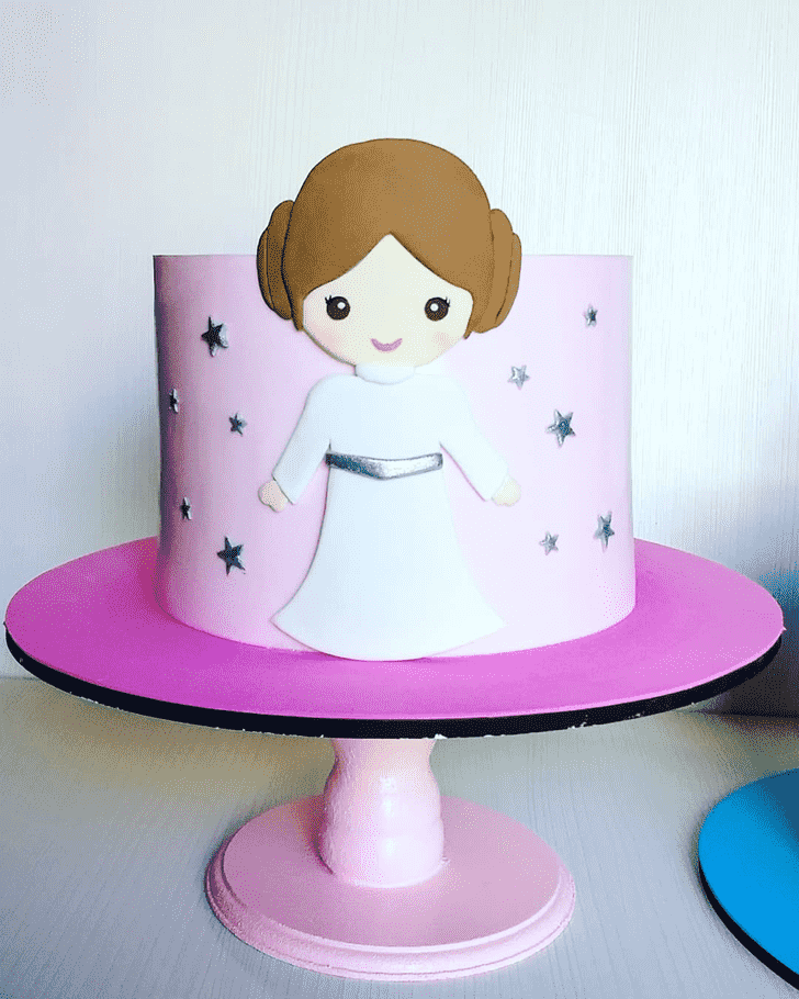 Handsome Princess Leia Cake