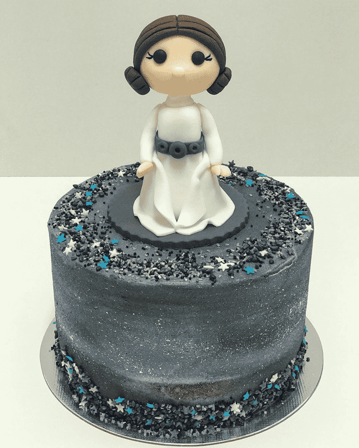 Magnetic Princess Leia Cake