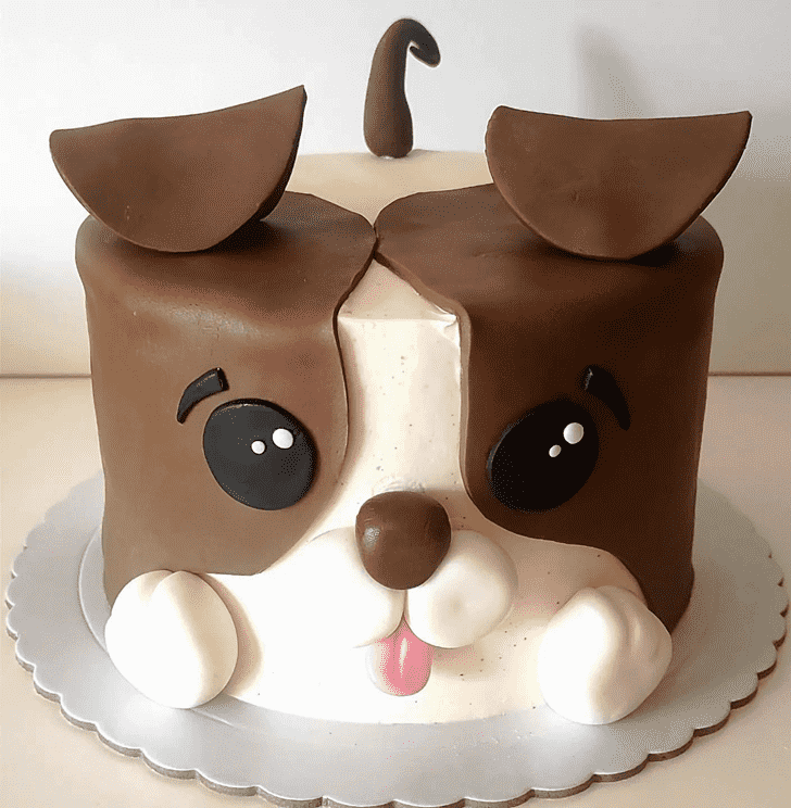 Dazzling Puppy Cake