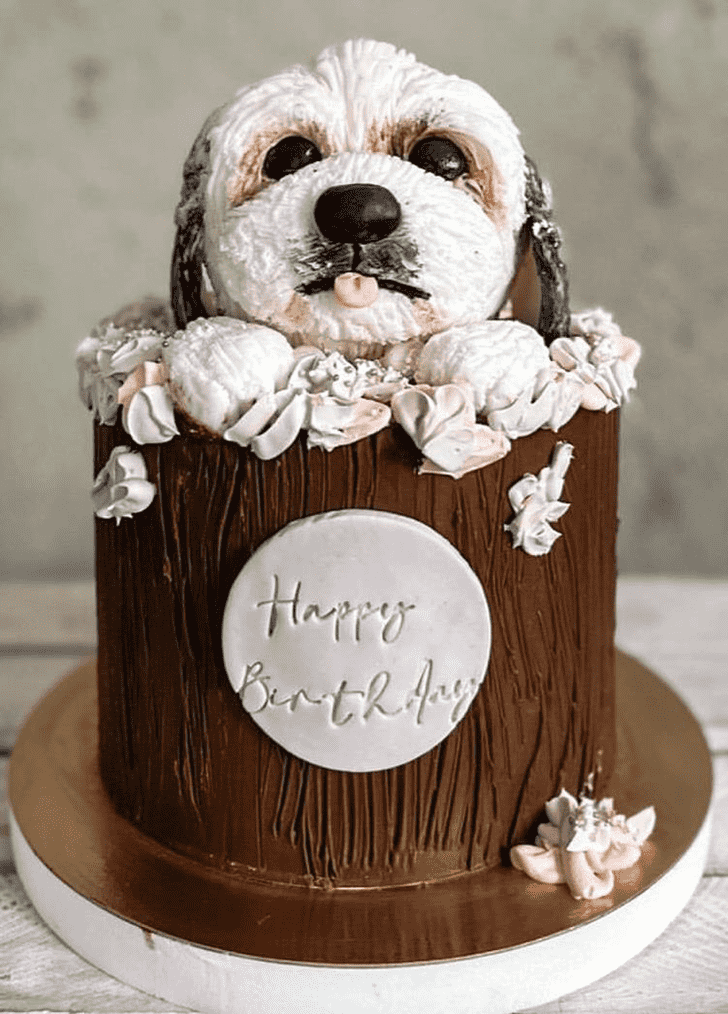 Gorgeous Puppy Cake