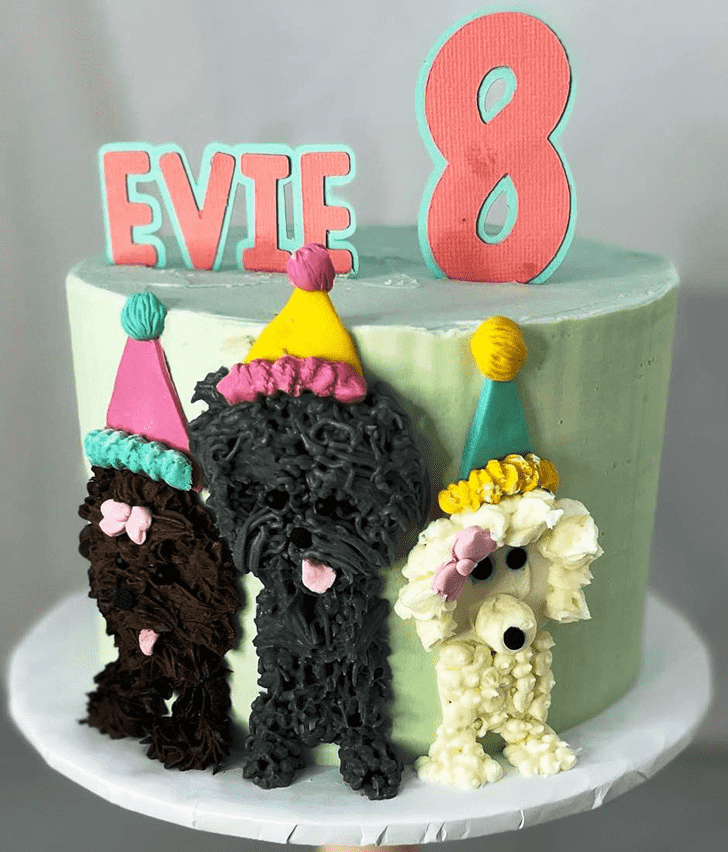 Magnetic Puppy Cake