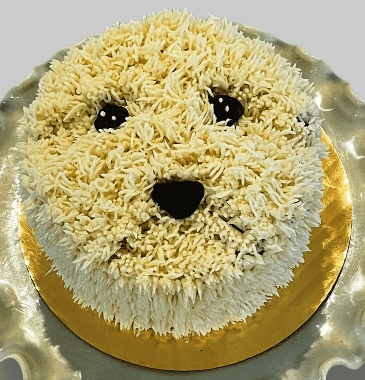 Splendid Puppy Cake