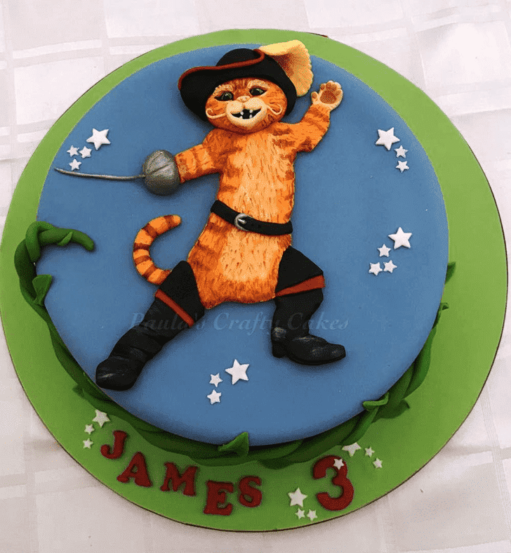 Bewitching Puss in Boots Cake