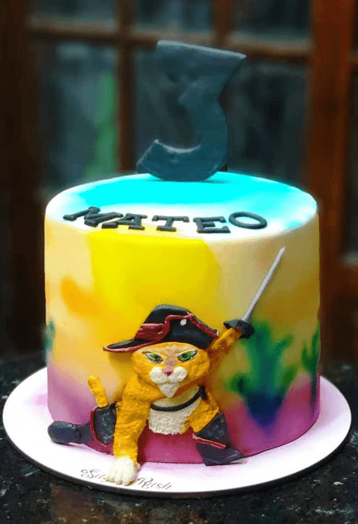 Divine Puss in Boots Cake