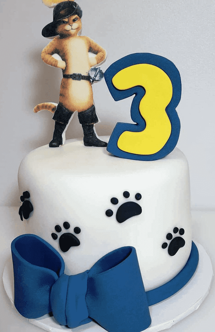 Fine Puss in Boots Cake