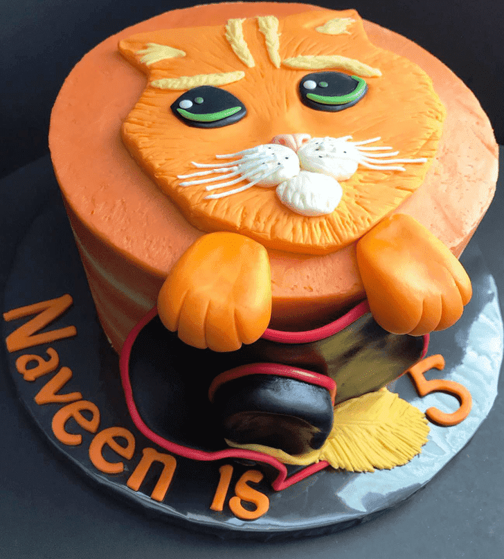 Magnetic Puss in Boots Cake