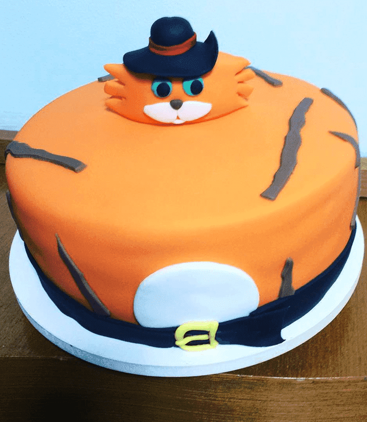 Wonderful Puss in Boots Cake Design