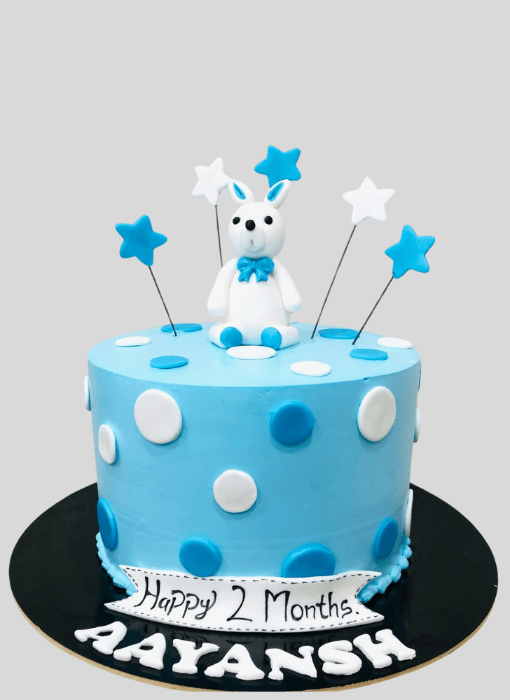 Magnetic Rabbit Cake