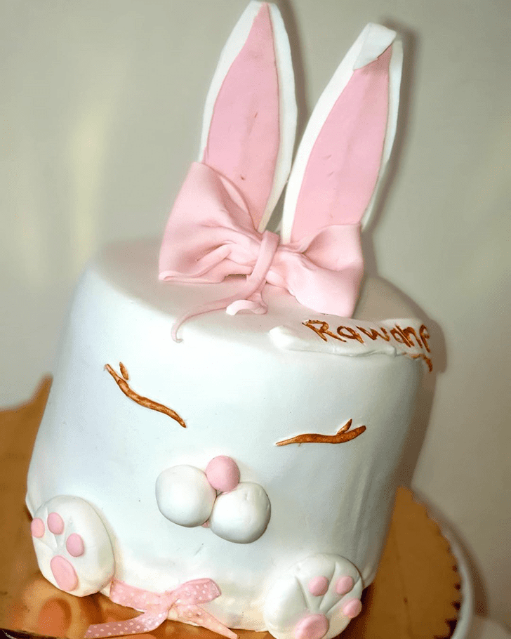 Hot Rabbit Cake