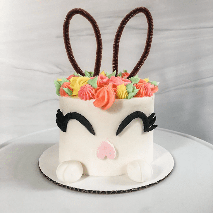 Magnetic Rabbit Cake